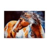 Trademark Fine Art Marcia Baldwin 'Mohican Indian War Horse' Canvas Art, 22x32 ALI34631-C2232GG
